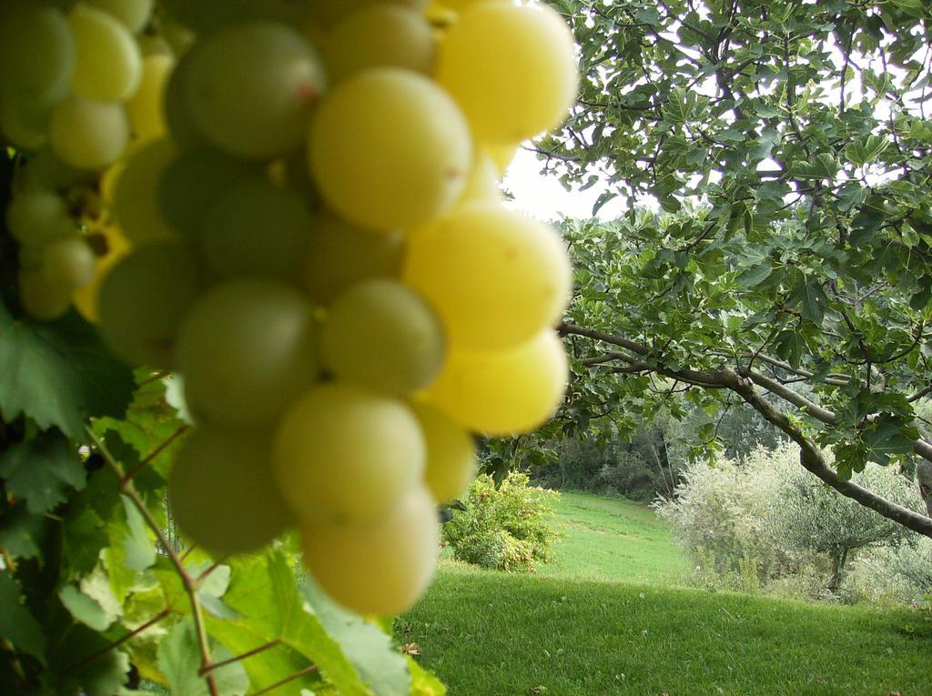 فيلا Agriturismo Casa Garello ساليس تيرمي المظهر الخارجي الصورة