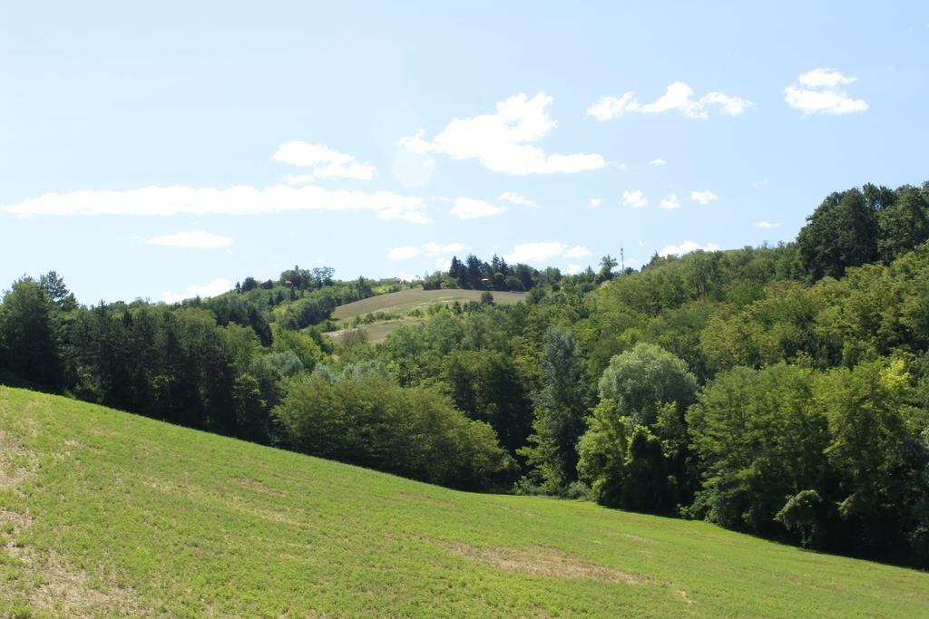 فيلا Agriturismo Casa Garello ساليس تيرمي المظهر الخارجي الصورة