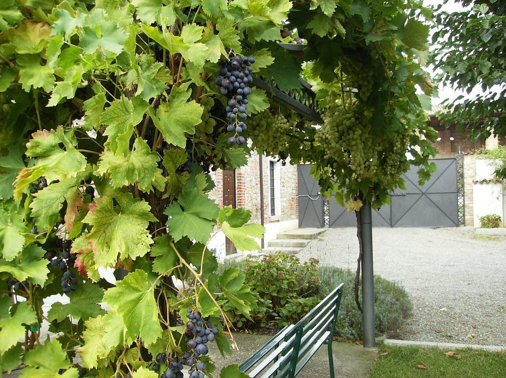 Agriturismo Casa Garello ساليس تيرمي المظهر الخارجي الصورة
